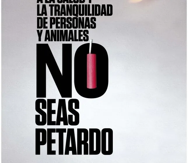 Noticias de Cantabria | El Cántabro | El lanzamiento de pirotecnia sólo está autorizado durante una hora tras las campanadas de Nochevieja