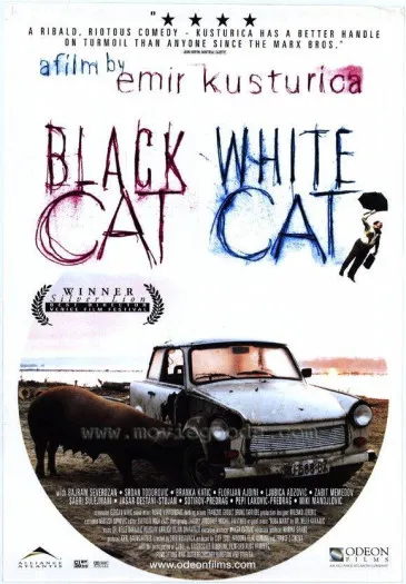  La  película “Gato negro, gato blanco” de Emir Kusturica, nueva propuesta de la Filmoteca Regional para este viernes en Piélagos
