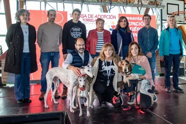 Noticias de Cantabria | El Cántabro | El Ayuntamiento de Torrelavega convoca las subvenciones para proyectos de Bienestar Animal