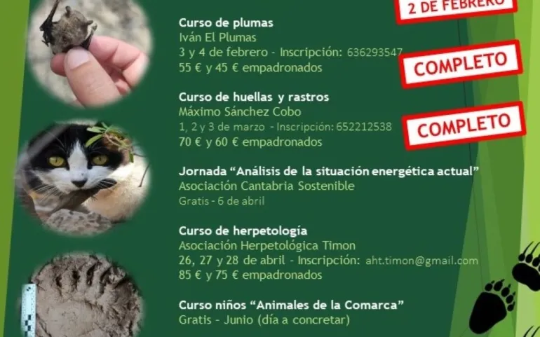Noticias de Cantabria | El Cántabro | La Concejalía de Medio Ambiente programa una charla sobre “la problemática de los gatos”