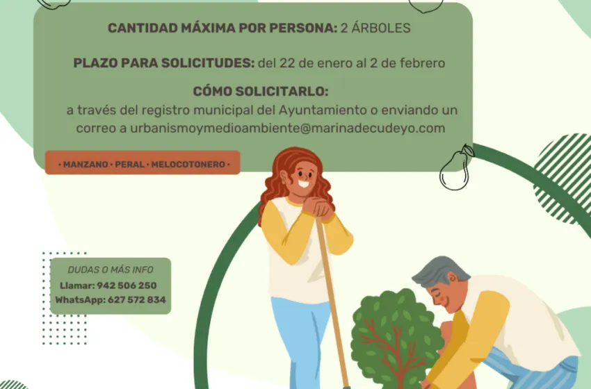 Noticias de Cantabria | El Cántabro | Reparto de árboles en Marina de Cudeyo