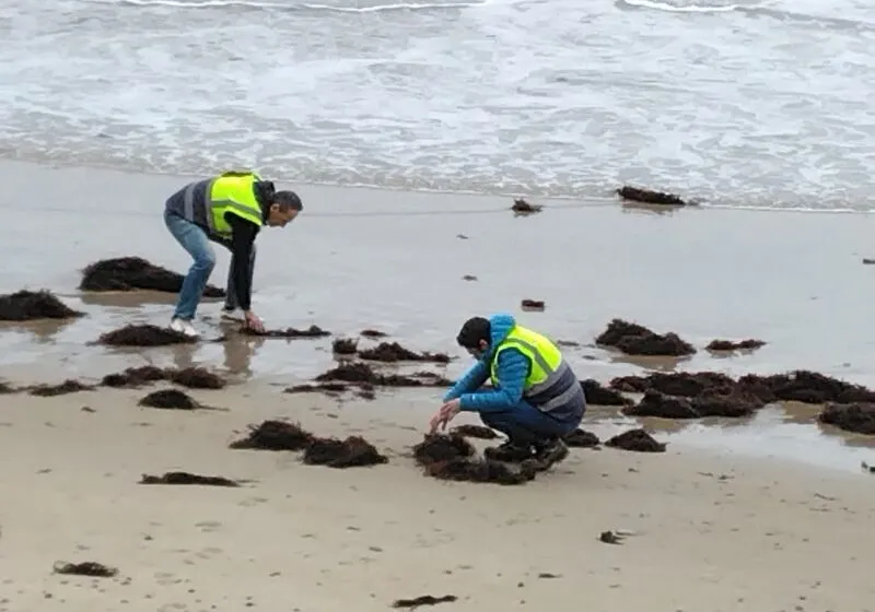 Noticias de Cantabria | El Cántabro | Cantabria eleva a nivel 2 el PLATERCANT para poder solicitar la intervención del Gobierno central en alta mar y evitar la llegada masiva de pellets a la costa