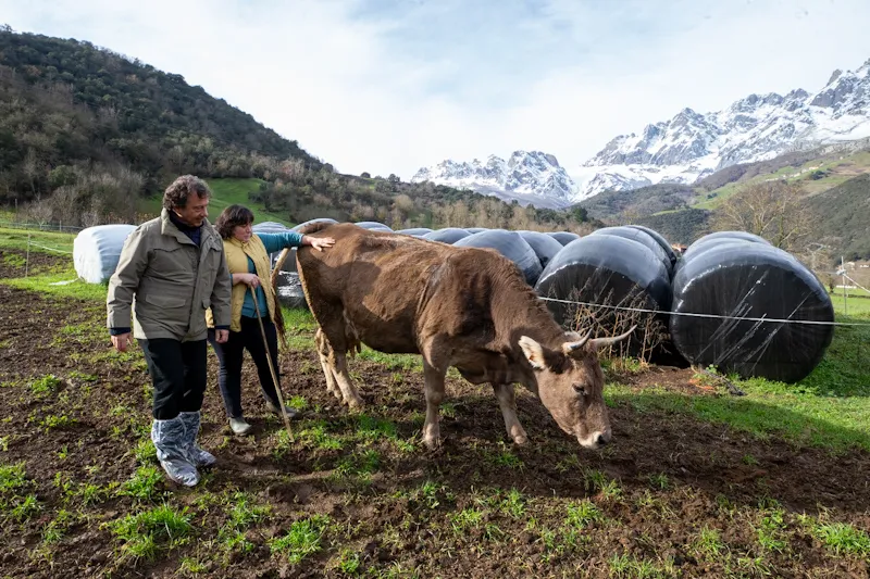  Pablo Palencia compromete su apoyo a la Asociación Raza Parda de Montaña como estrategia para defender el modelo económico basado en la ganadería