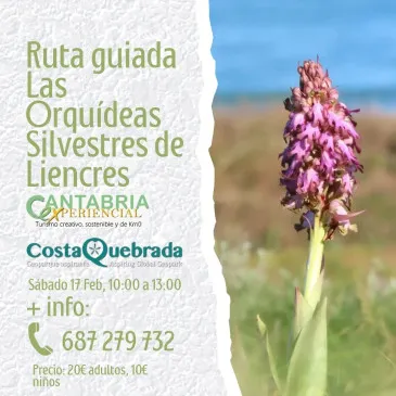  La ruta guiada ‘Las orquídeas silvestres de Liencres’ regresa desde este próximo sábado a Piélagos de la mano de Cantabria Experiencial