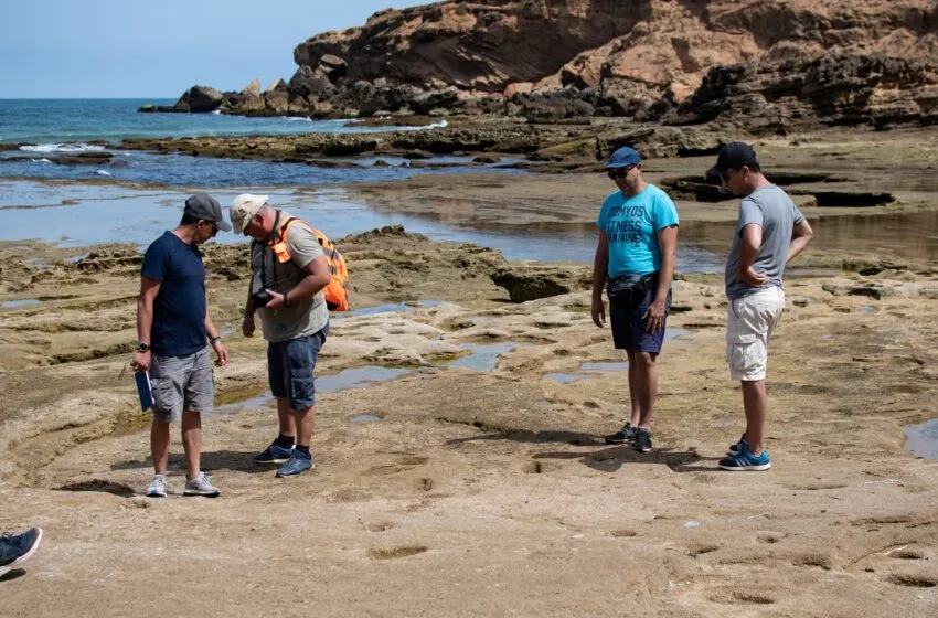 Un paleontólogo de la UC participa en el descubrimiento de las huellas de Homo sapiens más antiguas encontrados en el norte de África