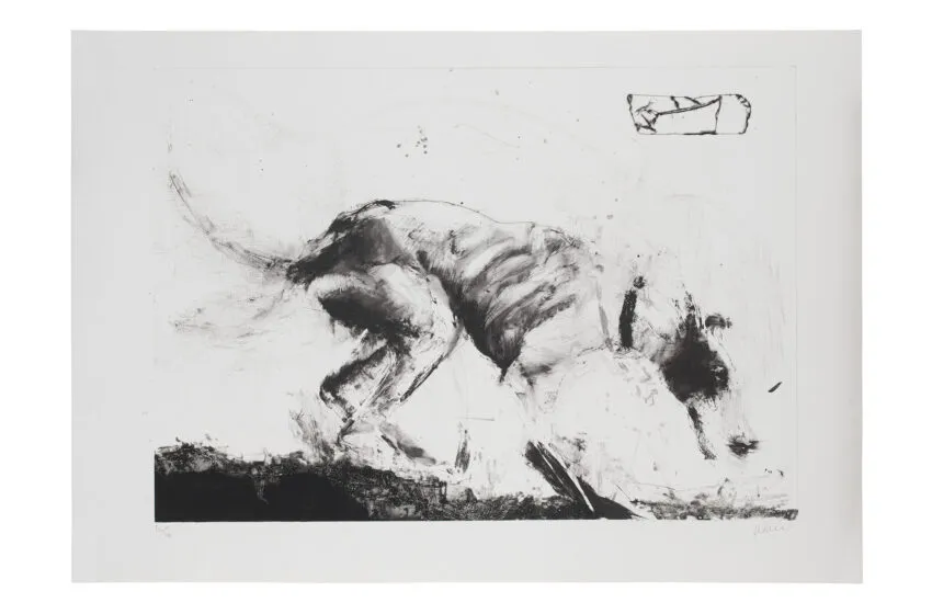  Una exposición sobre las 25 ediciones del Certamen de Arte Gráfico para Jóvenes Creadores inaugura la programación de 2024 en la UC