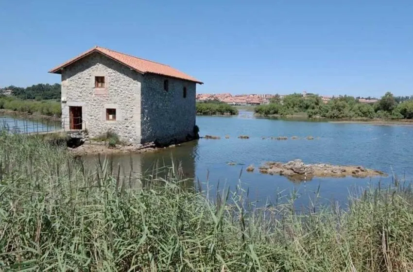  La marisma Victoria acoge el sábado una ruta ornitológica con motivo del Día Mundial de los Humedales