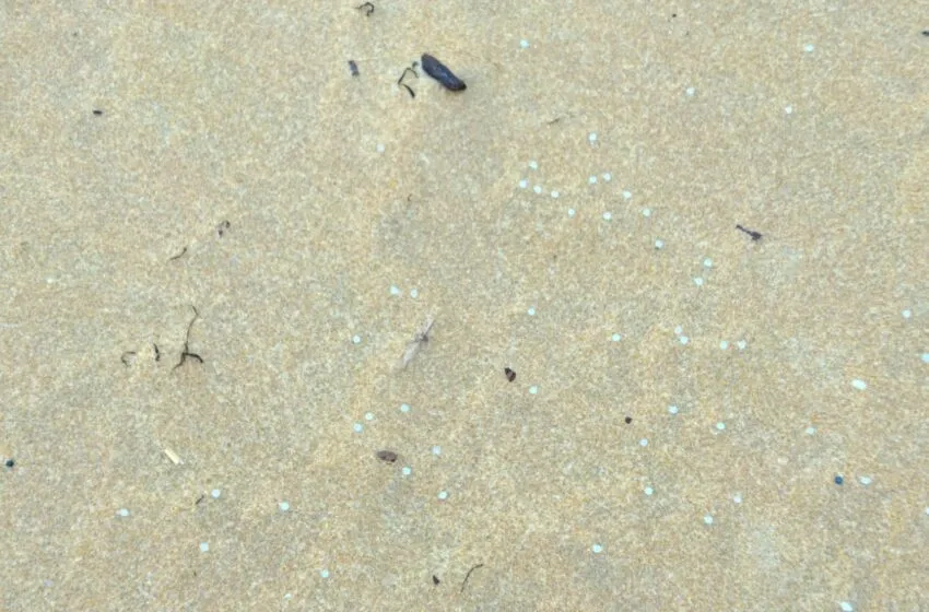 El Gobierno desactiva el PLATERCANT vigente por contaminación marítima