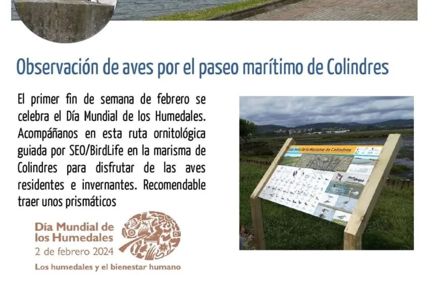  El ayuntamiento de Colindres celebra el Día Mundial de los Humedales con una ruta ornitológica guiada en el entorno de nuestras marismas.