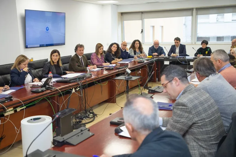 Noticias de Cantabria | El Cántabro | Buruaga presenta al Consejo Asesor contra el Despoblamiento las medidas incluidas en el presupuesto para dinamizar la Cantabria rural