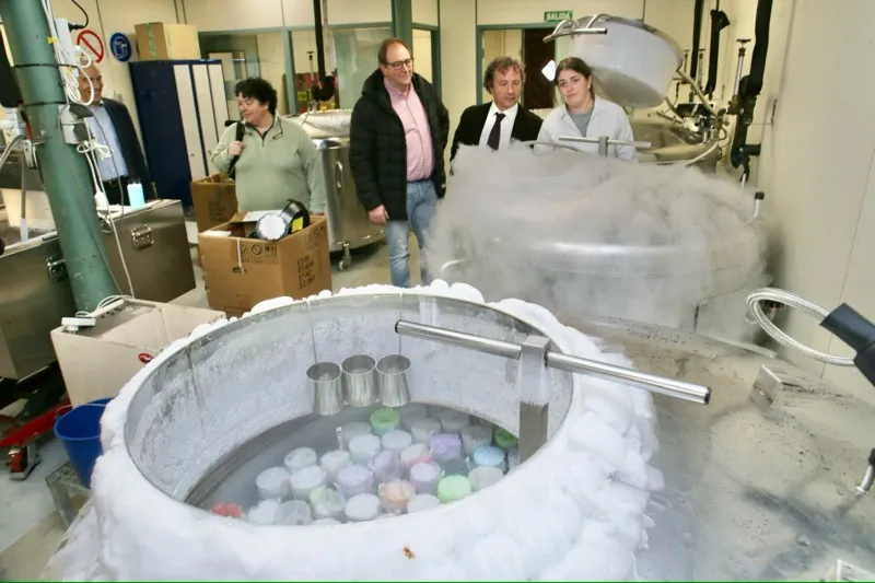  El Gobierno de Cantabria desarrollará una nueva estrategia de mejora genética con Aberekin, una de las empresas de selección ganadera más importantes de España