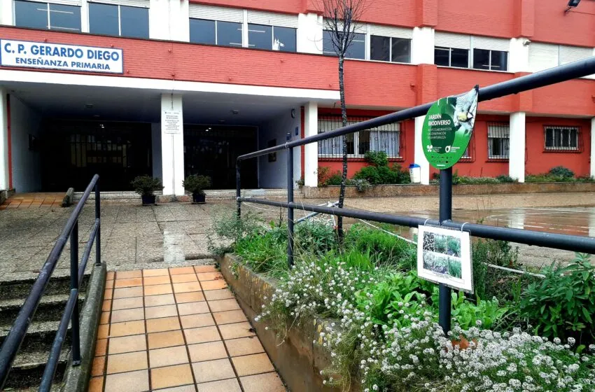  Santander Capital Natural repartirá árboles para reverdecer los jardines y terrazas