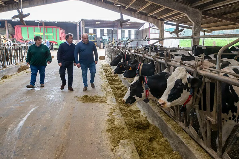 Noticias de Cantabria | El Cántabro | El Gobierno anuncia la creación de un grupo de trabajo para "dinamizar" el sector lácteo de Cantabria