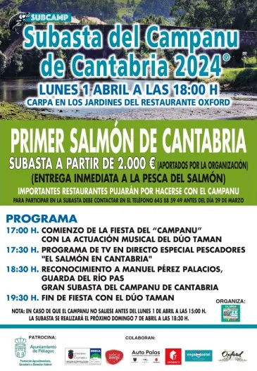 Noticias de Cantabria | El Cántabro | Piélagos acogerá el lunes, 1 de abril, la subasta del Campanu de Cantabria 2024