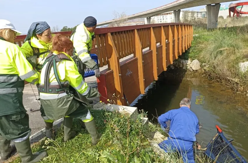  El Ayuntamiento de Camargo inicia los trabajos de recuperación ambiental del entorno del Arroyo Bolado