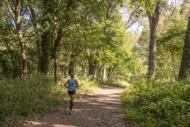  Sale a licitación la redacción del proyecto para la restauración ecológica del Parque de Las Tablas