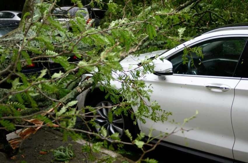  El Gobierno de Cantabria pide prudencia a la población para evitar accidentes en Semana Santa