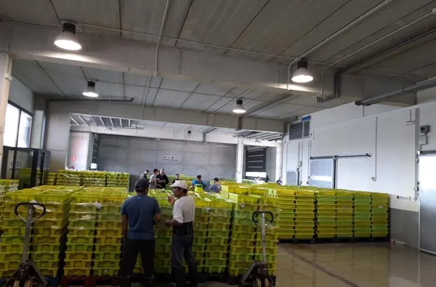  Pesca convoca ayudas por 300.000 euros para que las cofradías de pescadores de Cantabria realicen inversiones en beneficio del sector