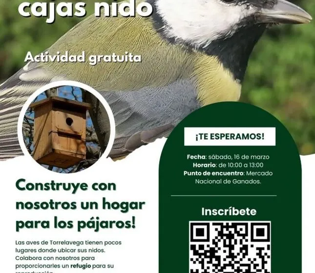  Taller de construcción de cajas nido este sábado en Torrelavega