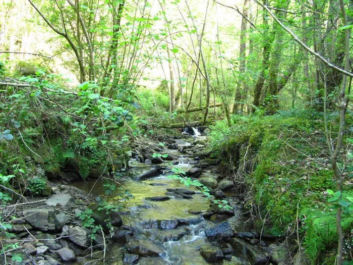 Noticias de Cantabria | El Cántabro | Desarrollo Rural y Valle de Villaverde abordan el ANEI del Monte Tejea  