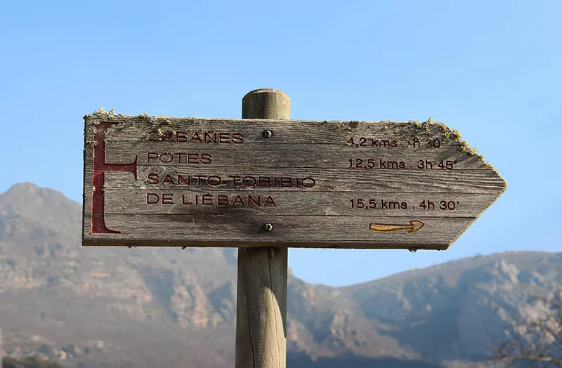 Cantabria acogerá el mes de mayo un congreso sobre la conservación de anfibios y reptiles impulsado por la Comisión Europea