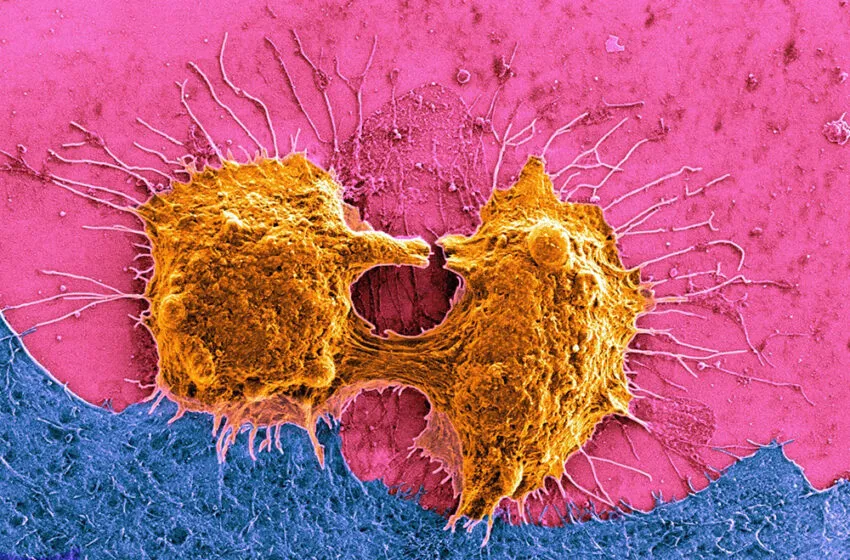  Una exposición itinerante de fotografía científica de EUNICE recorre la UC