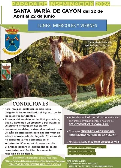  El Ayuntamiento acondiciona el local de la Parada Caballar y anuncia el inicio de la campaña