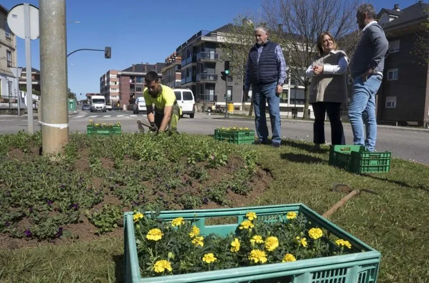 Noticias de Cantabria | El Cántabro | El Ayuntamiento de Camargo da comienzo a la plantación de 3.000 plantas de temporada