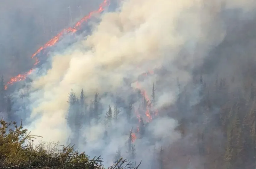 En estos momentos hay 25 incendios activos y 3 controlados