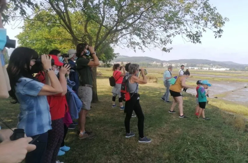  COLINDRES Y SEO/BIRDLIFE TRABAJAN EN LA CREACIÓN DE UN ÁREA DE ECOTURISMO EN EL ENTORNO DEL PASEO MARÍTIMO