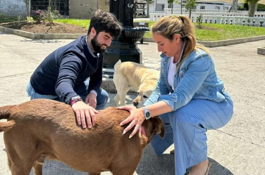  El PP de Castro Urdiales propone la construcción de un parque canino en Castro-Urdiales para fomentar las políticas “Dog-Friendly”