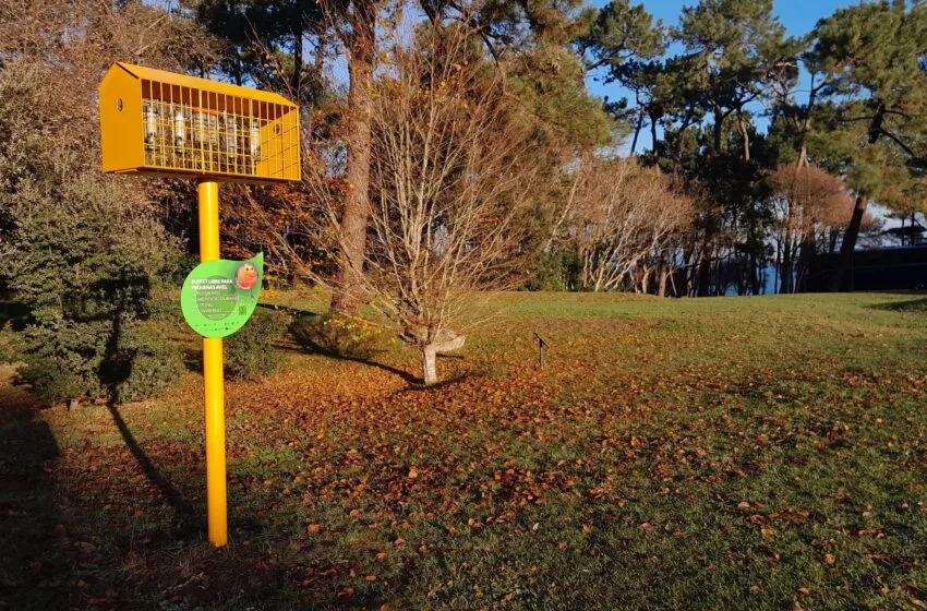  La península de la Magdalena, protagonista de ‘Domingo de parque’ de Santander Capital Natural