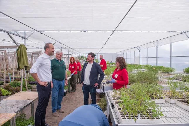  Repartidas más de 15.000 plantas de tomate