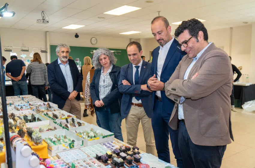  Celebrada la VI Feria de Minerales y Fósiles en la Escuela Politécnica de Ingeniería de Minas y Energía