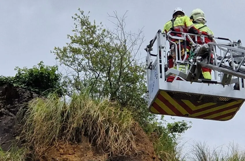 Rescatado un oso joven de un risco en el Parque de la Naturaleza de Cabárceno