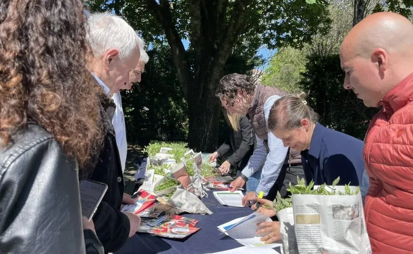  LA TRADICIÓN DEL TOMATE DE GUARNIZO, MÁS VIVA QUE NUNCA