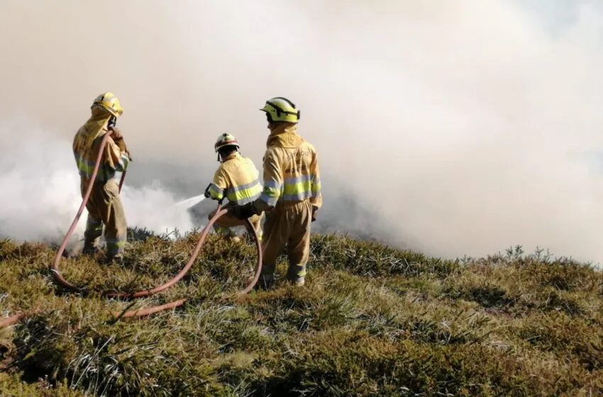  El Gobierno convoca ayudas por más de 1,2 millones de euros para prevenir incendios forestales en Cantabria