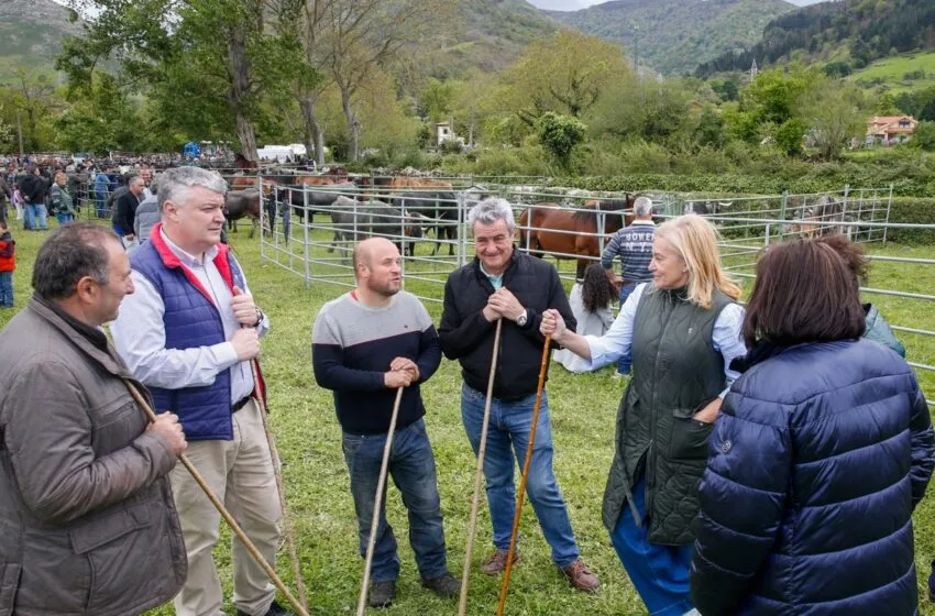 Noticias de Cantabria | El Cántabro | Agüeros asiste la XV Feria Ganadera de Bárcena de Pie de Concha que ha registrado una entrada de casi un millar de animales