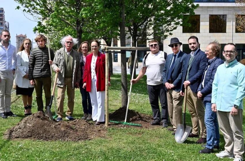 Noticias de Cantabria | El Cántabro | Santander celebra el Día de Europa con la plantación de un roble junto a los Jardines de Pereda
