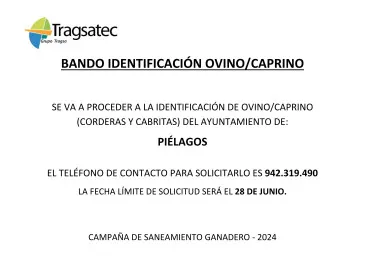 Noticias de Cantabria | El Cántabro | Abierto hasta el 28 de junio el plazo de solicitud de identificación del ganado ovino y caprino del municipio de Piélagos
