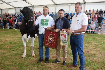 Noticias de Cantabria | El Cántabro | El próximo 14 de junio finalizará el plazo de inscripción para el Concurso-exposición de ganado vacuno frisón de ‘San Antonio’