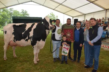  Cantón Karaja Montana, gran campeona y vaca adulta campeona del 147 Concurso-exposición de ganado vacuno frisón de San Antonio en Renedo