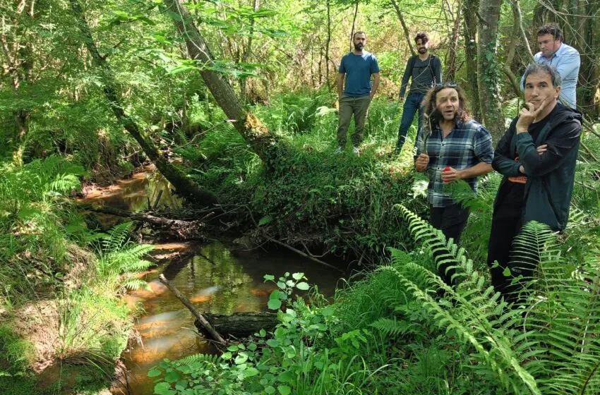 Primer taller regional del proyecto europeo NBRACER en Santander para la puesta en común de adaptaciones ante el cambio climático basadas en la naturaleza