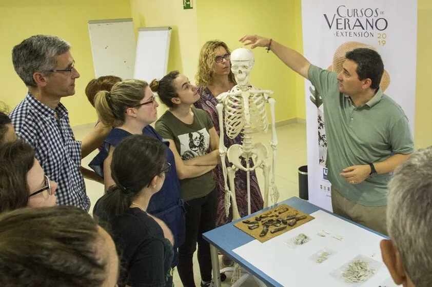  El Ayuntamiento programa dentro de los Cursos de Verano de la UC un total de 14 propuestas formativas y culturales