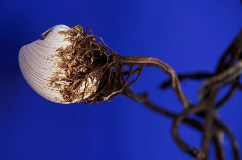  Ya es posible inscribirse en el próximo Taller de Arte de la Fundación Botín, dirigido por Cooking Sections