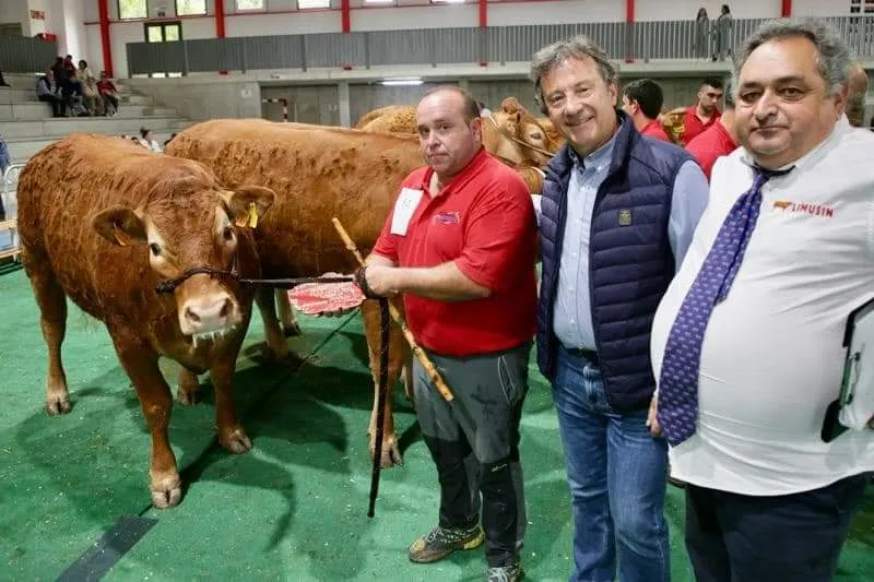  Palencia asiste al XIII Concurso Regional Raza Limusín de Cantabria en Treceño