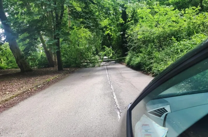 TORRELAVEGA SÍ EXIGE EL MANTENIMIENTO DE LA VIESCA