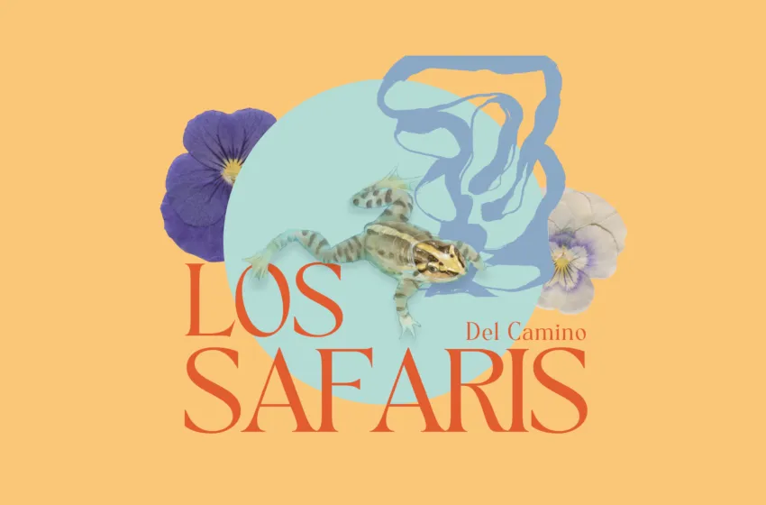  La Fundación Camino Lebaniego lanza un viaje sensorial por la Naturaleza: los Safaris del Camino Lebaniego