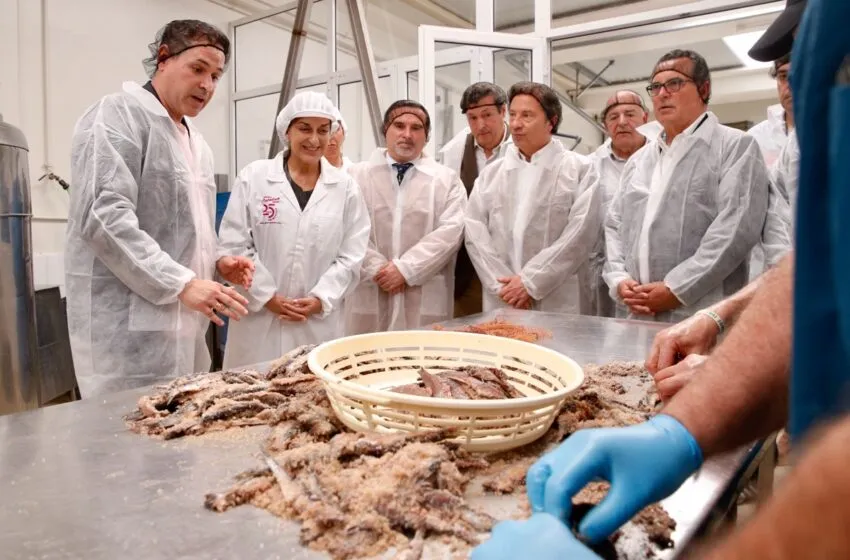  Buruaga anuncia que las ayudas de 3,5 millones de euros para la transformación de la pesca se convocarán en julio