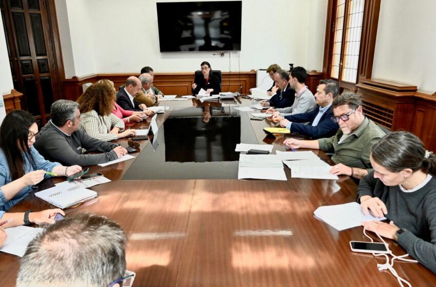 Noticias de Cantabria | El Cántabro | El IMD aprueba 9 convenios con federaciones y asociaciones deportivas por 200.000 euros